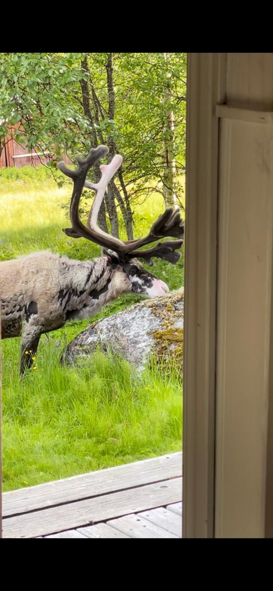 Taenndalens Stugby Villa Eksteriør billede